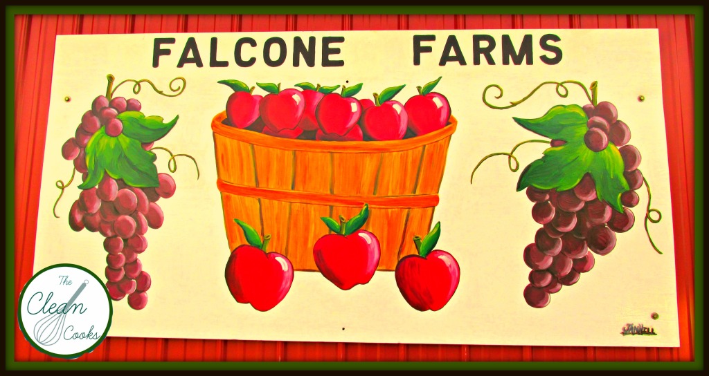 Falcone farms