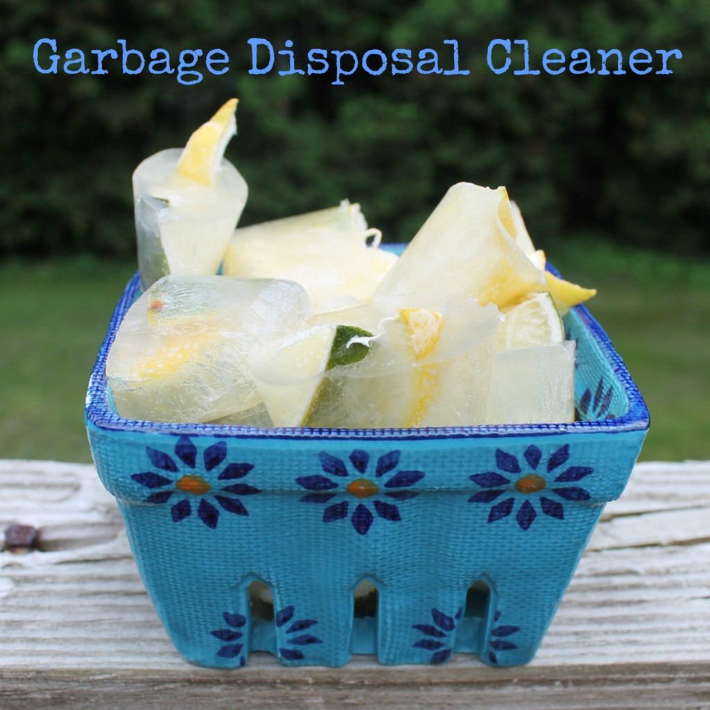 Garbage Disposal Cleaner