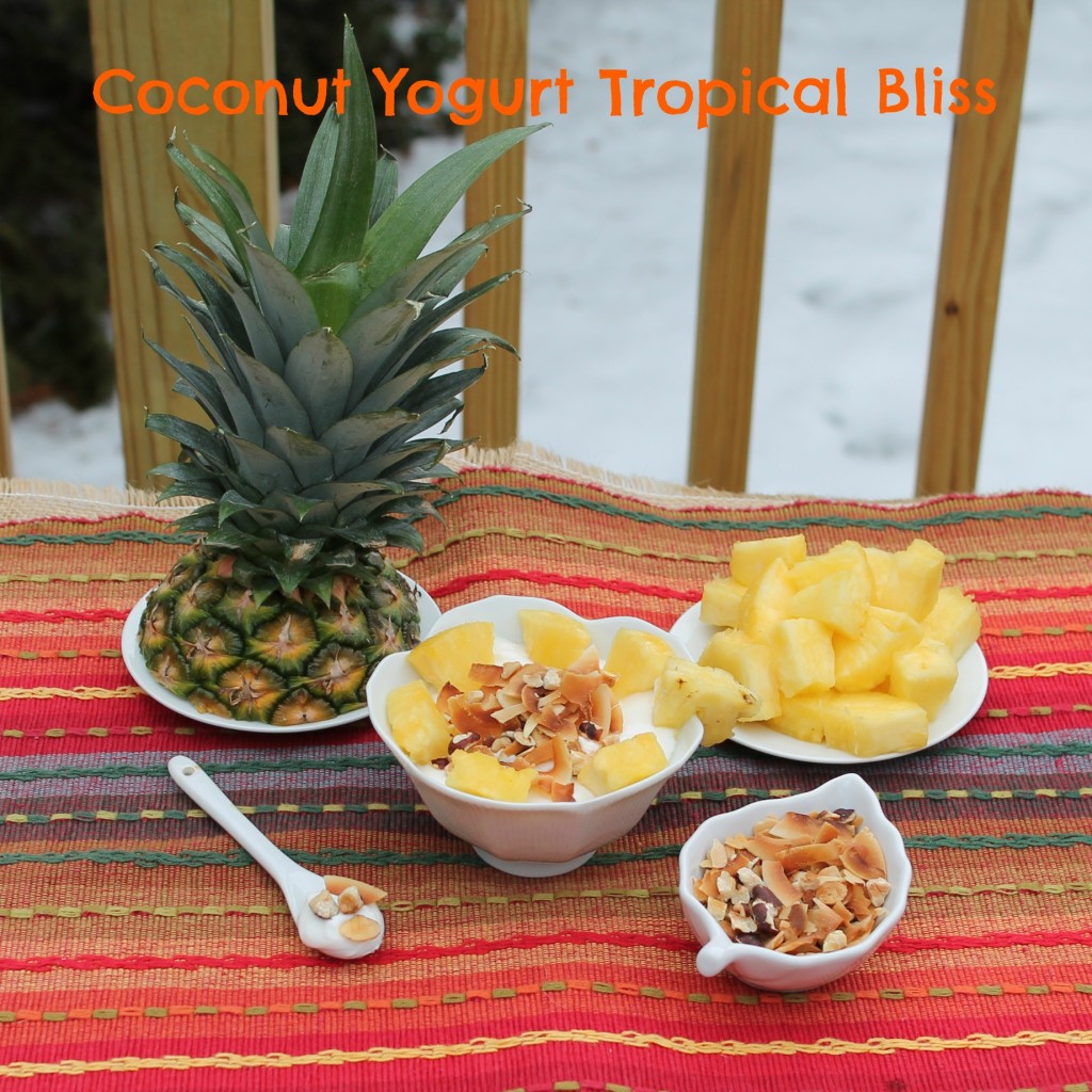 Coconut Yogurt Tropical Bliss